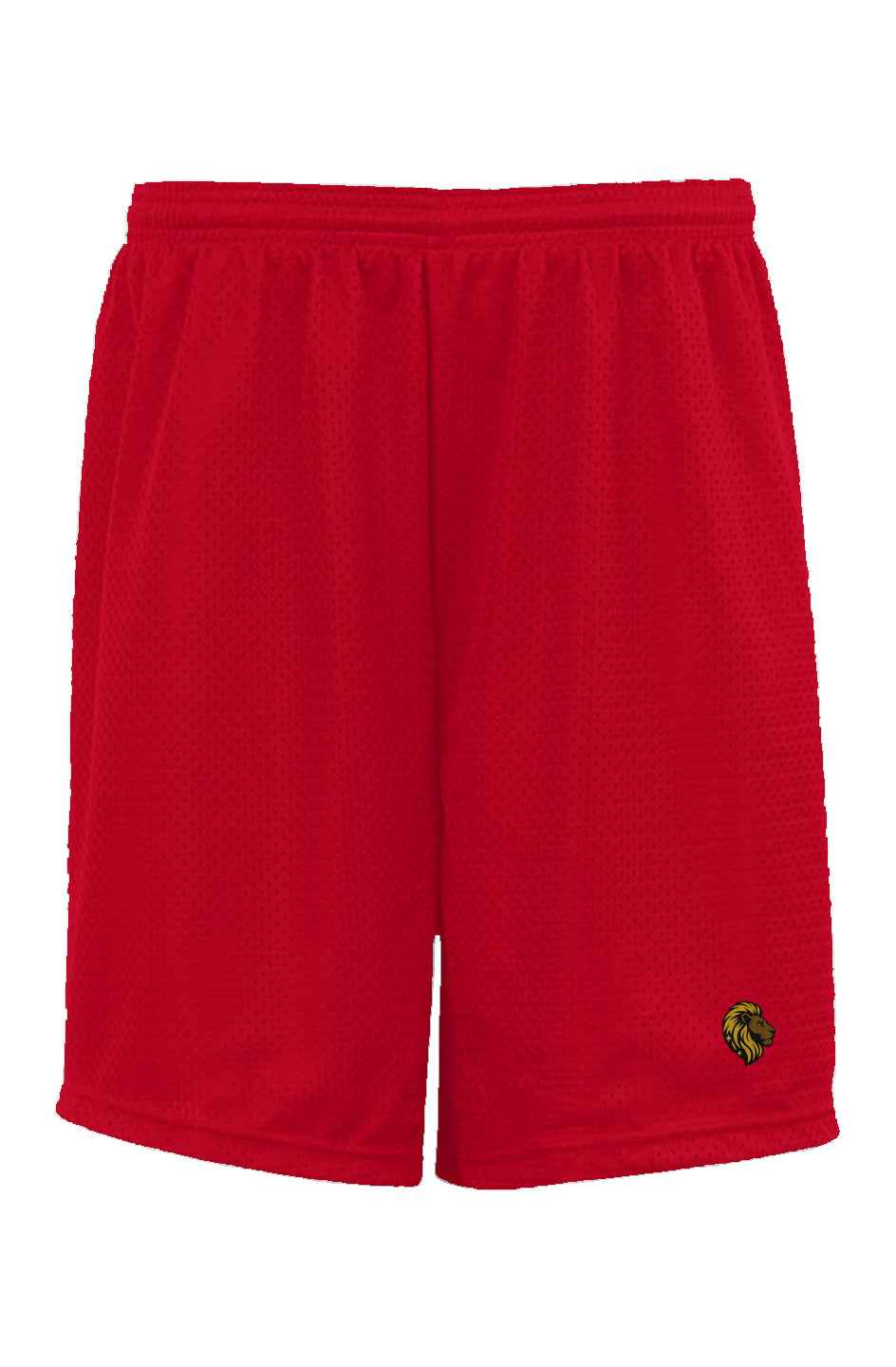The One Classic Mesh Shorts