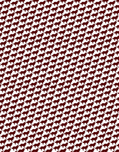 The Howdy Polo