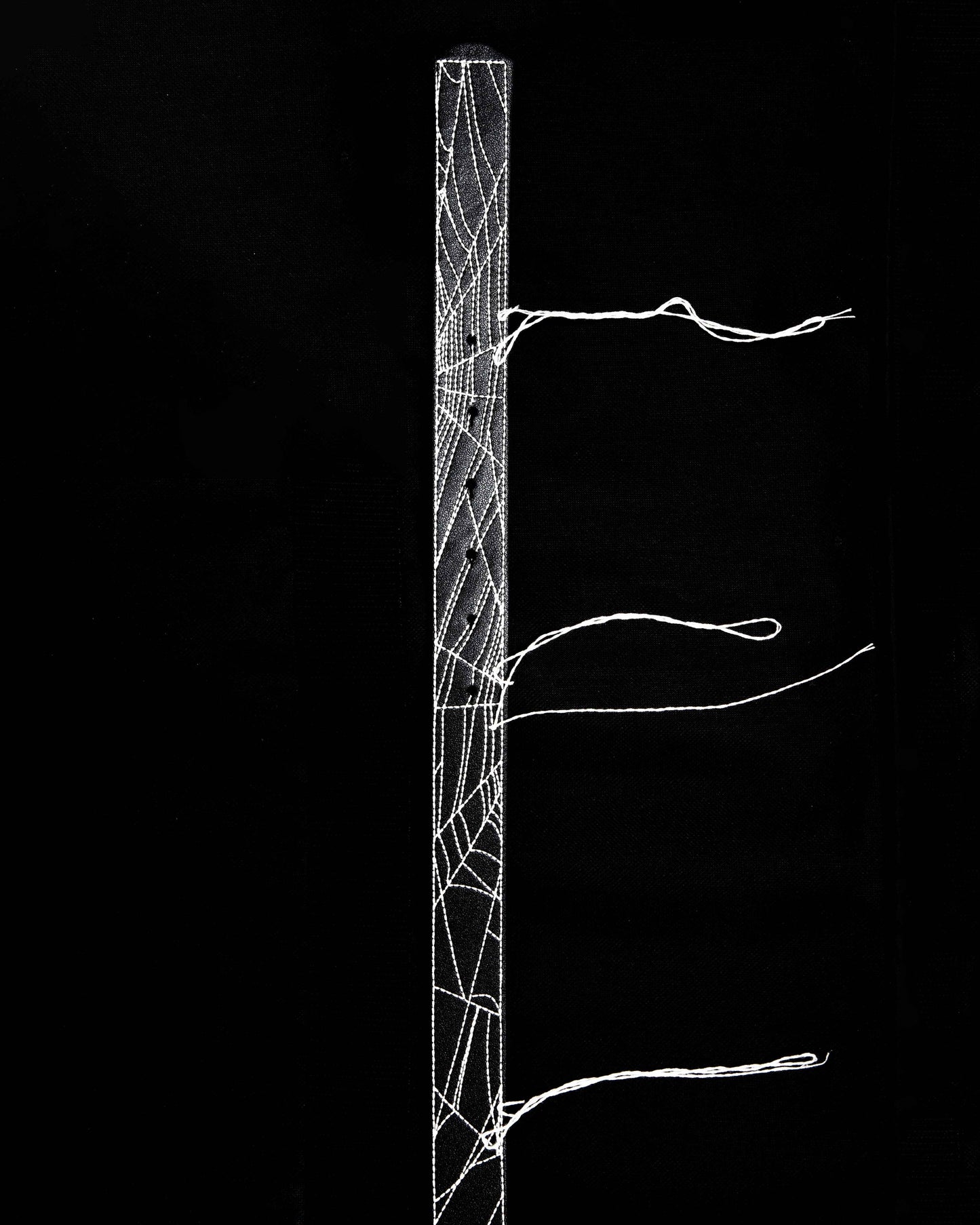 BL NIGHTWEB BELT