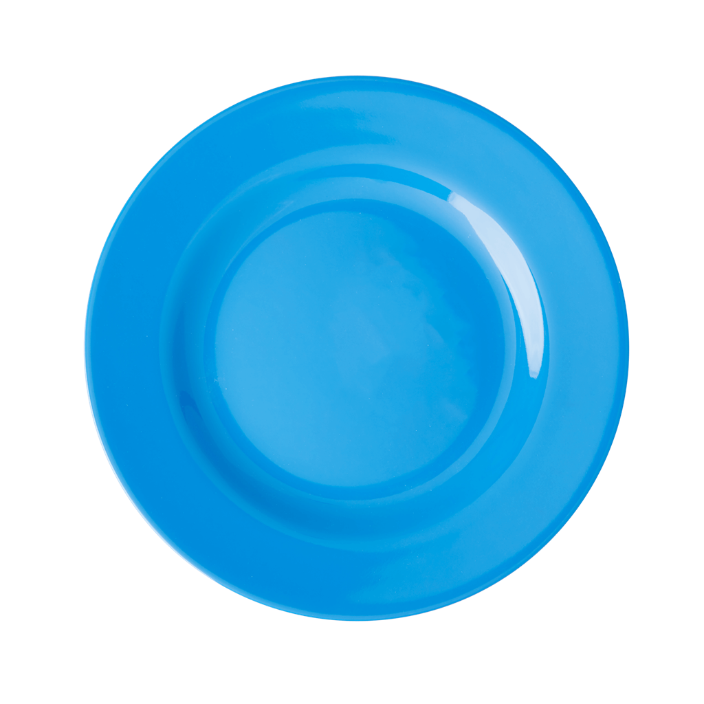 Melamine Lunch Plate | Sky Blue
