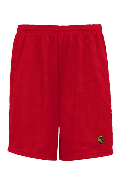 The One Classic Mesh Shorts