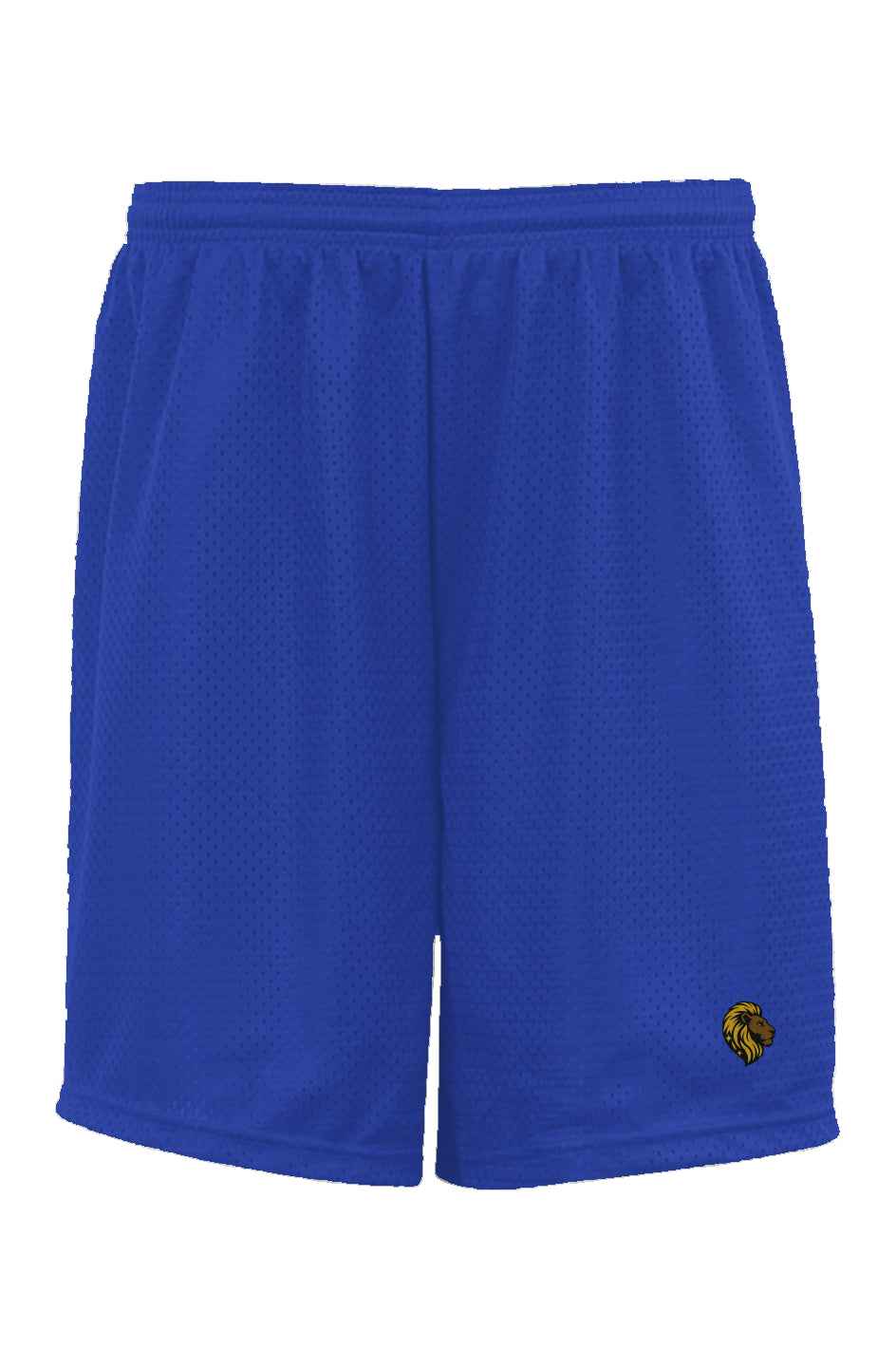 The One Classic Mesh Shorts